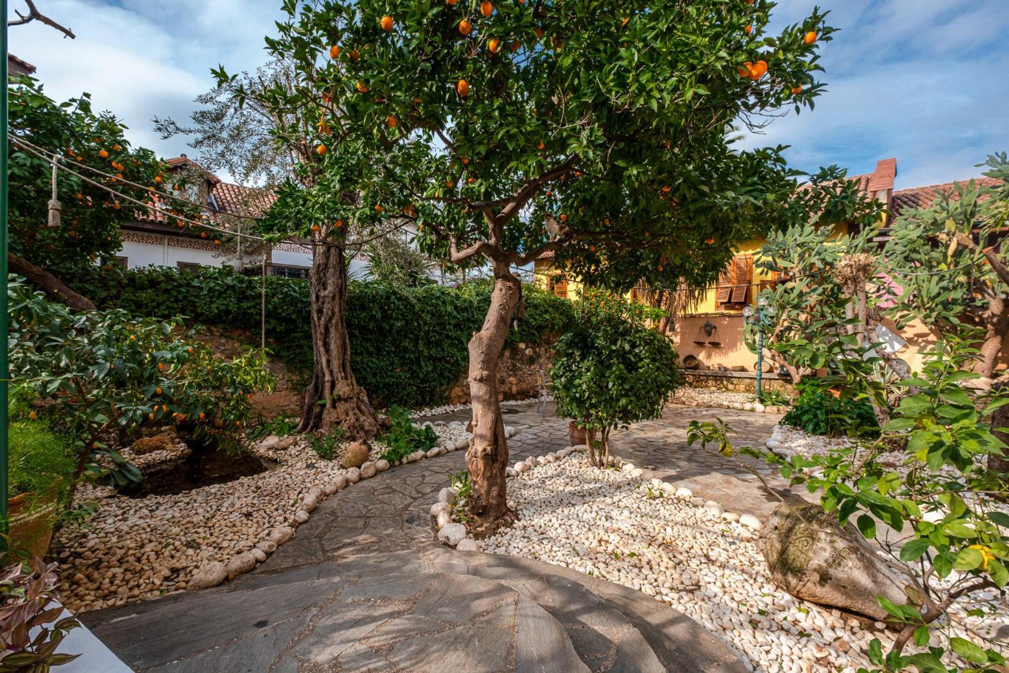 Villa Tulipan Antalia Esterno foto